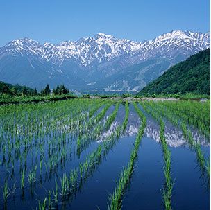 白馬の壮大な自然