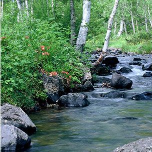 白馬の壮大な自然